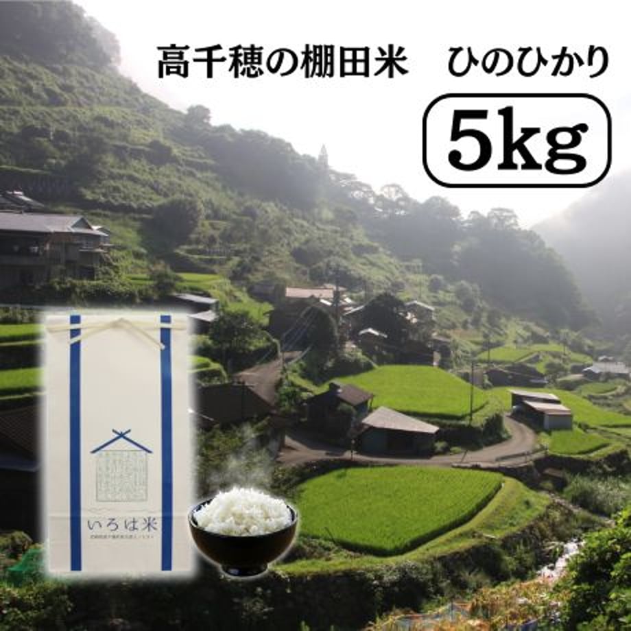 672db1e85ec825093c68da3c