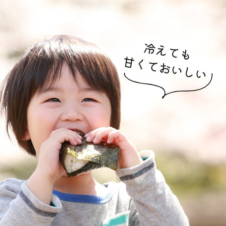 【令和8年産】高千穂産ひのひかり 10kg｜つなぐ棚田遺産認定の棚田米｜標高600m棚田の寒暖差が育てた極上の旨味｜白米・玄米選択可｜産地直送