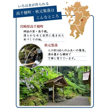 【令和8年産】高千穂産ひのひかり 10kg｜つなぐ棚田遺産認定の棚田米｜標高600m棚田の寒暖差が育てた極上の旨味｜白米・玄米選択可｜産地直送