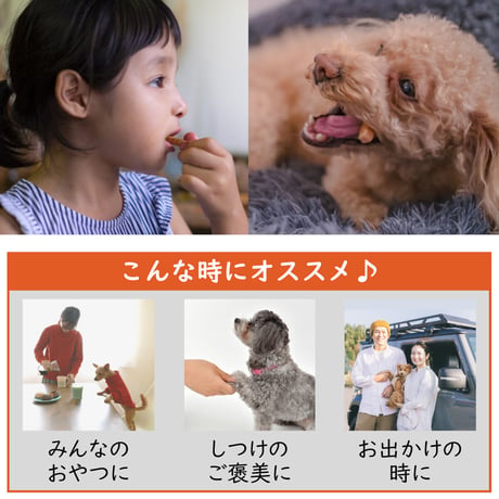 愛犬と一緒に食べられる 無添加 米粉クッキー 40g×4袋 ヒューマングレード おやつ 国産 さつまいも使用 高千穂ムラたび