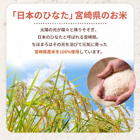 【1本で150兆個の乳酸菌】 あまざけ＋乳酸菌 ちほまろ 玄米 150g｜コク深くまろやか・リピーター率No.1の無添加発酵ドリンク 宮崎県高千穂発 植物性乳酸菌 玄米 米糀