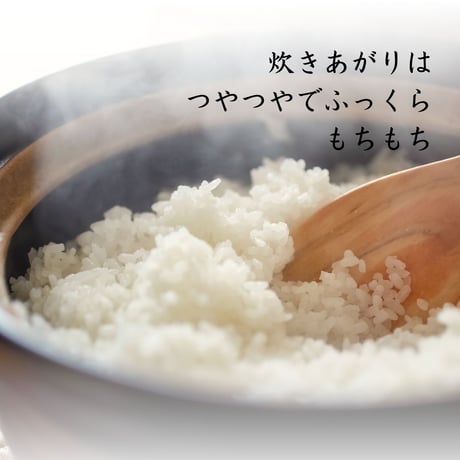 【令和8年産】高千穂産ひのひかり 10kg｜つなぐ棚田遺産認定の棚田米｜標高600m棚田の寒暖差が育てた極上の旨味｜白米・玄米選択可｜産地直送