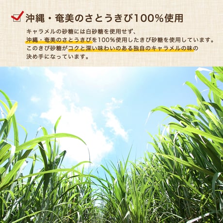 【南九州産さつまいも】キャラいも 40g キャラメル スイートポテトスナック アレルギー対応 子供 おやつ 宮崎 お土産 プレーン 黒ごま きなこ 無添加 ヘルシー 焼き菓子 高千穂ムラたび
