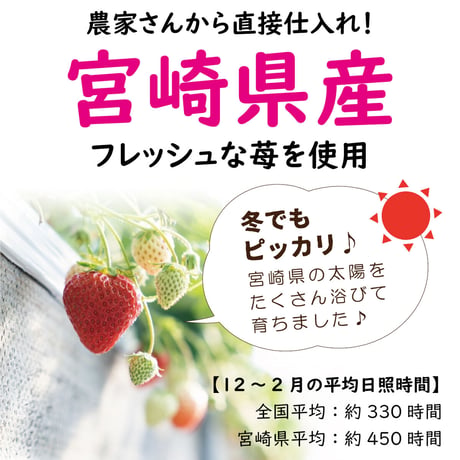 ＼毎月15日は15％OFF／あまざけ+乳酸菌『ちほまろ』（いちご味）150ｇ×12本セット【クール商品】