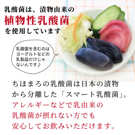 【夏季限定】あまざけ+乳酸菌 ちほまろ（パイナップル）150ｇ