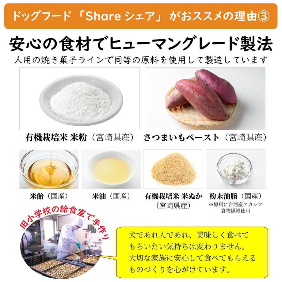 60c1a87b02a58940d527cad6