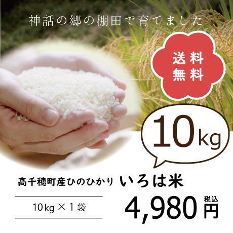 令和5年度『ひのひかり』10kg　神話の里・高千穂町産の棚田米♪寒暖の差が磨いた旨味　※白米・玄米選べます