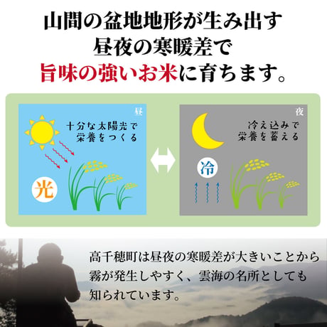 【令和8年産】高千穂産ひのひかり 5kg｜つなぐ棚田遺産認定の棚田米｜標高600m棚田の寒暖差が育てた極上の旨味｜白米・玄米選択可｜産地直送