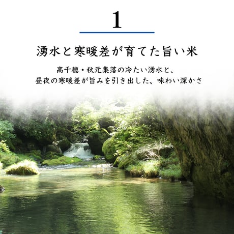【令和8年産】高千穂産ひのひかり 10kg｜つなぐ棚田遺産認定の棚田米｜標高600m棚田の寒暖差が育てた極上の旨味｜白米・玄米選択可｜産地直送