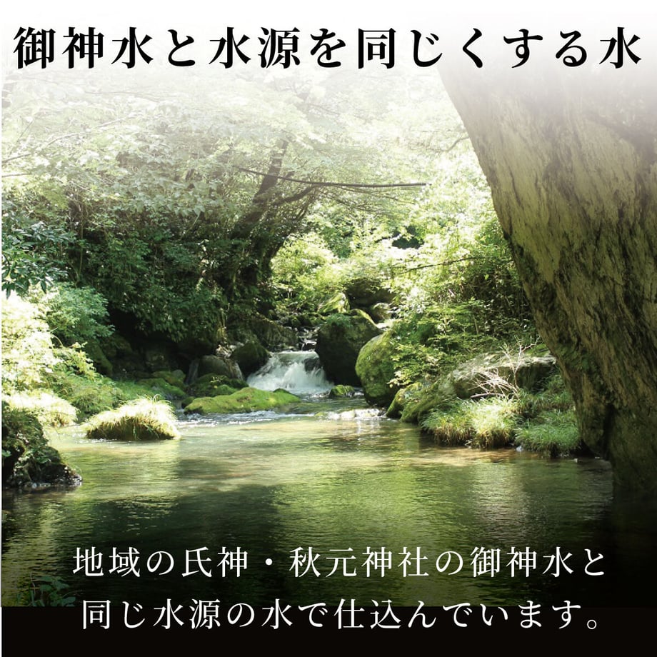 5500f2a73bcba9ddb9000016