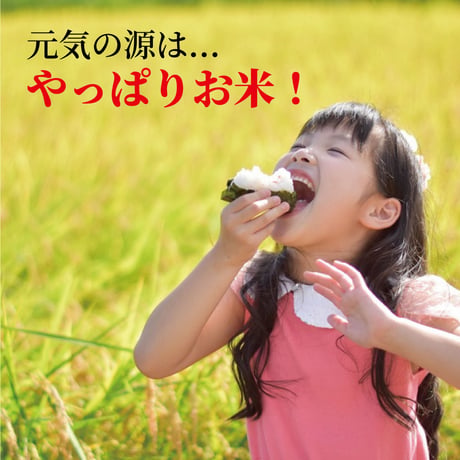 【令和8年産】高千穂産ひのひかり 5kg｜つなぐ棚田遺産認定の棚田米｜標高600m棚田の寒暖差が育てた極上の旨味｜白米・玄米選択可｜産地直送