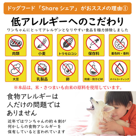 愛犬と一緒に食べられる 無添加 米粉クッキー 40g×30袋 ヒューマングレード おやつ 国産 さつまいも使用 高千穂ムラたび