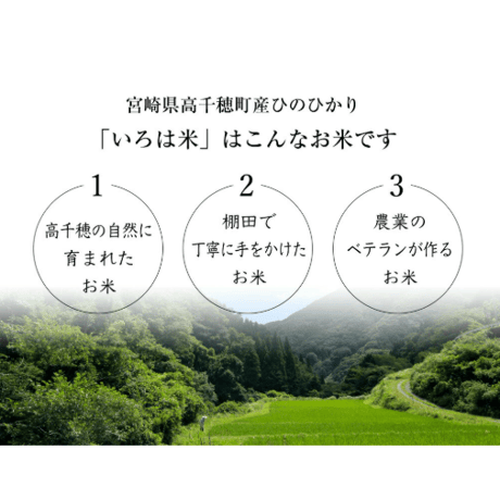 【令和8年産】高千穂産ひのひかり 10kg｜つなぐ棚田遺産認定の棚田米｜標高600m棚田の寒暖差が育てた極上の旨味｜白米・玄米選択可｜産地直送