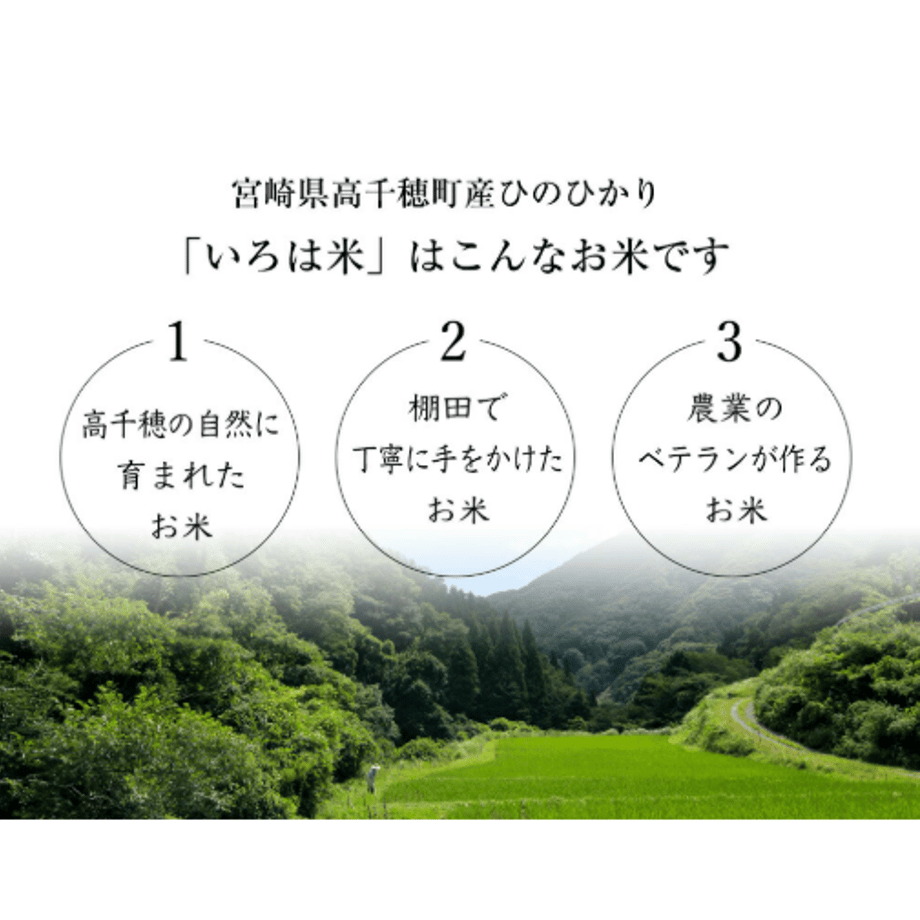 654310241896a10a39349214