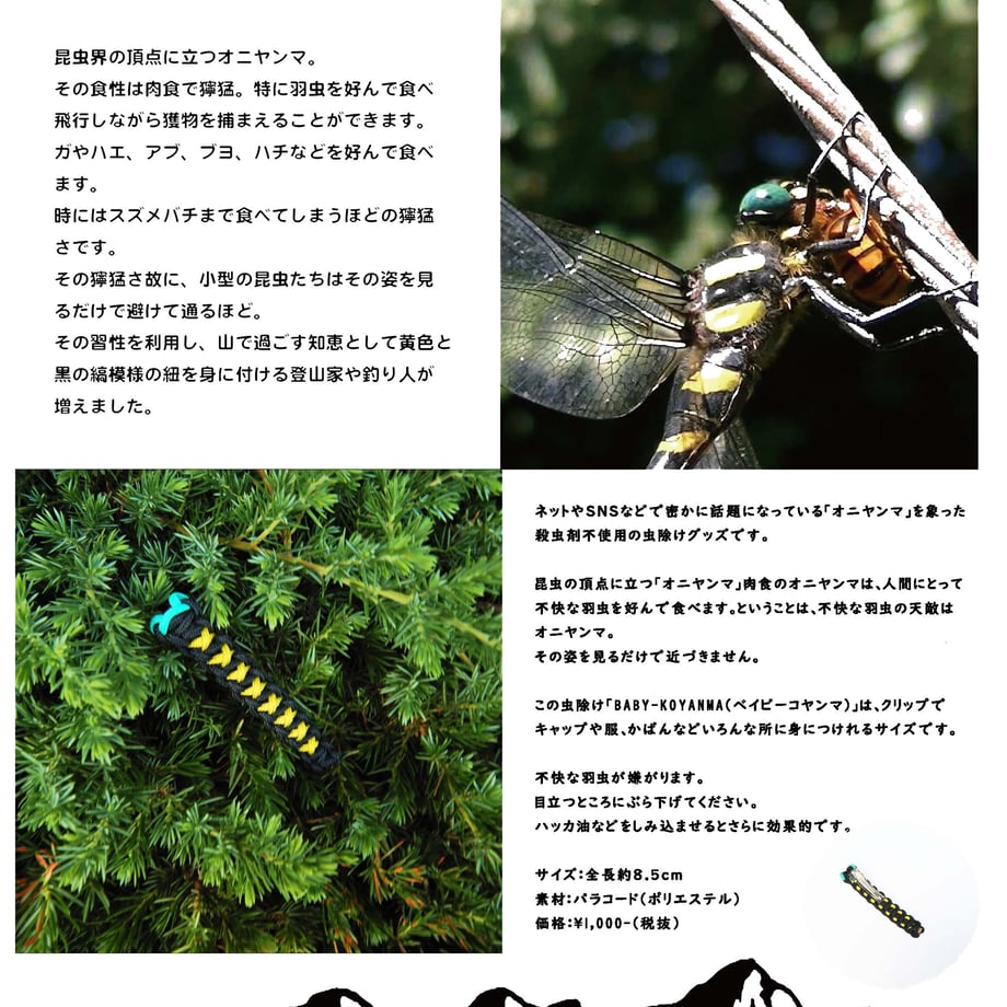 64c125fd3c52b7002e7ea665