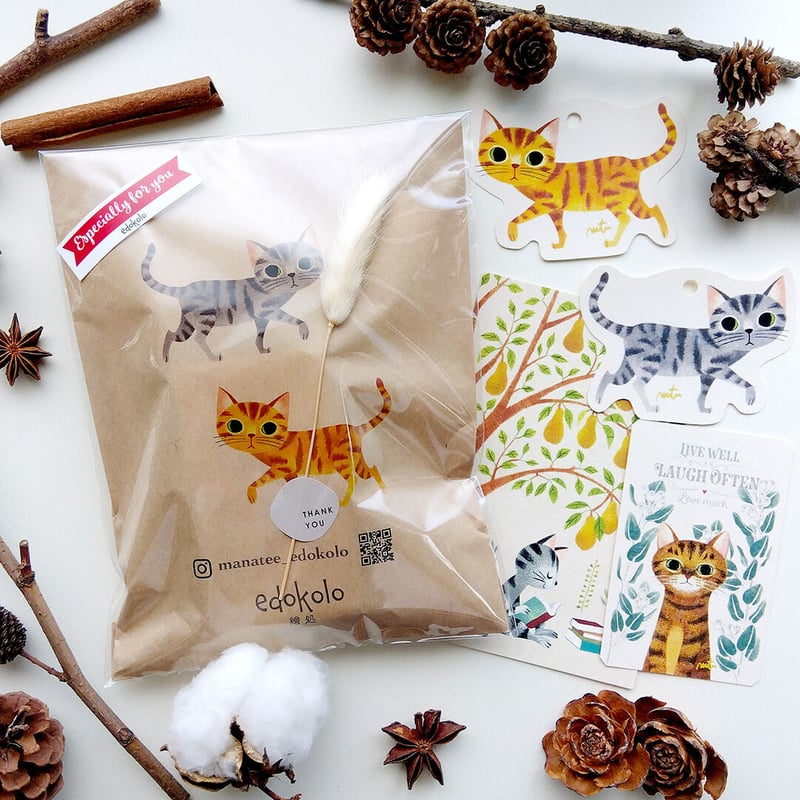 スマートキーケース“お散歩猫のイラスト入り〈茶トラ猫