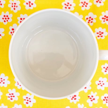 ウプサラ・エクビィ Upsala Ekeby/ゲフレ Gefle　ガヴォット　カップ＆ソーサー(L) レア