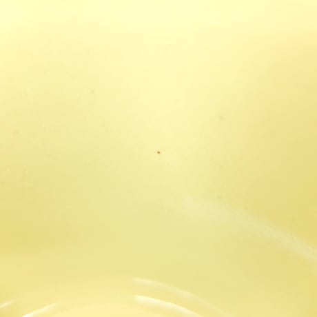 ARABIA アラビア　キルタ　カップ＆ソーサー(L)(b)　イエロー