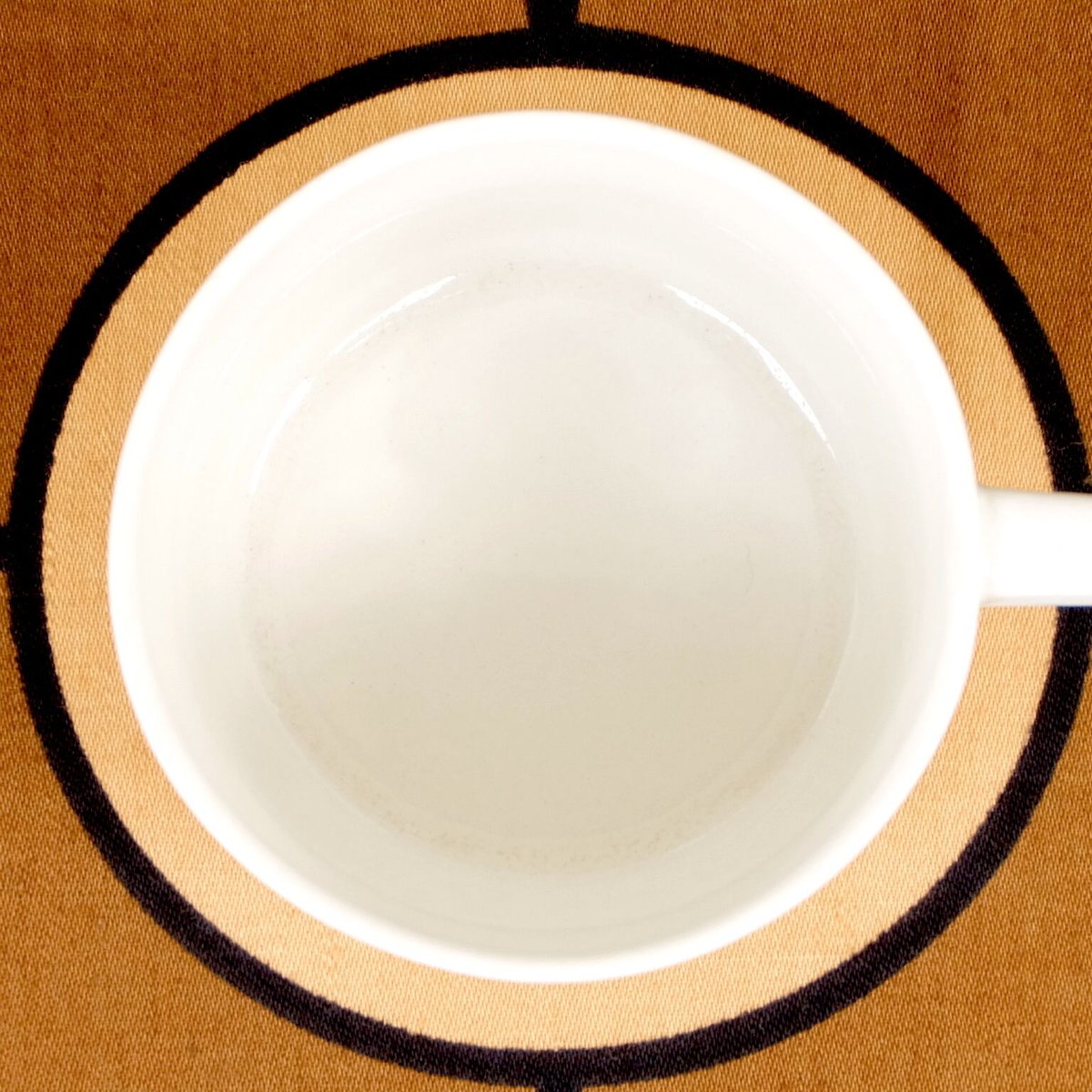 ロールストランド Anemon アネモン コーヒーカップ&ソーサー a RORSTRAND/ロールストランド/ANEMON/アネモン/カップ＆ソーサー