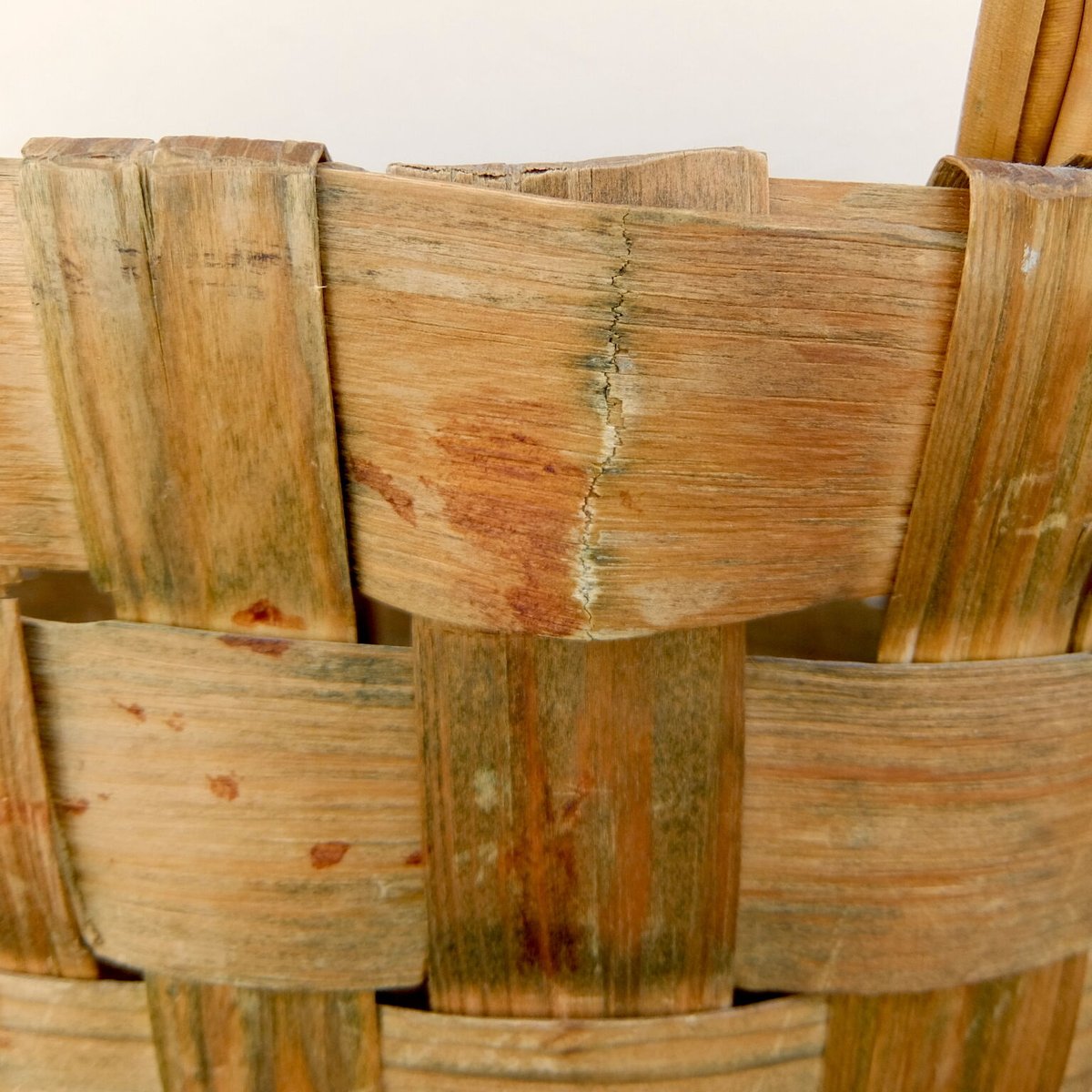 白樺風ビンテージホワイトtitle「勇」