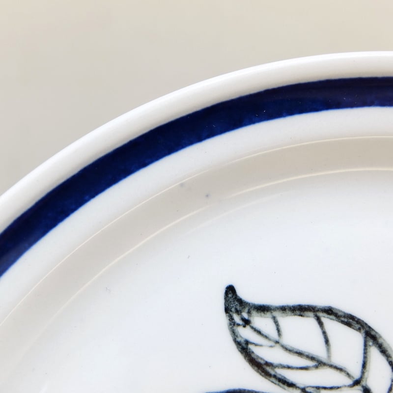 Arabia フルーツデザイン 21㎝プレート 2枚セット パラティッシ プレート21cm カラーiittala/Arabia|北欧食器の