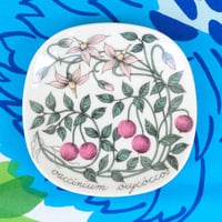 ARABIA アラビア　ボタニカ　絵皿　クランベリー
