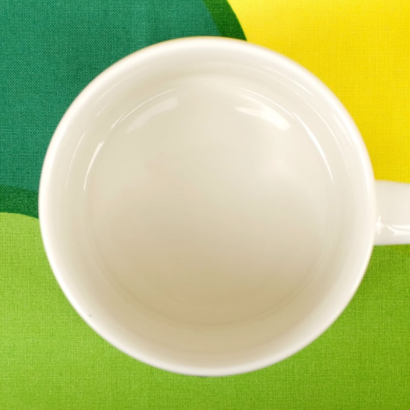 イッタラ Iittala / ARABIA アラビア サンヌンタイ カップ＆ソーサー