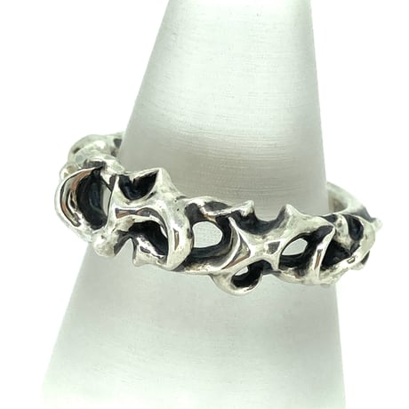 Large IBARA Ring