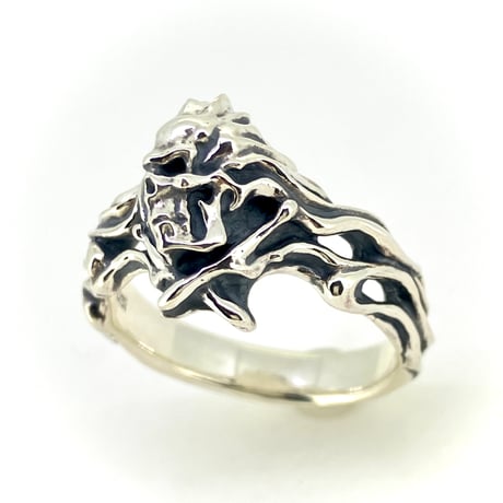EVIL DRUMMER RING   【Mayo (HADES／M.D.M.S) × CROWS GLOWS 】