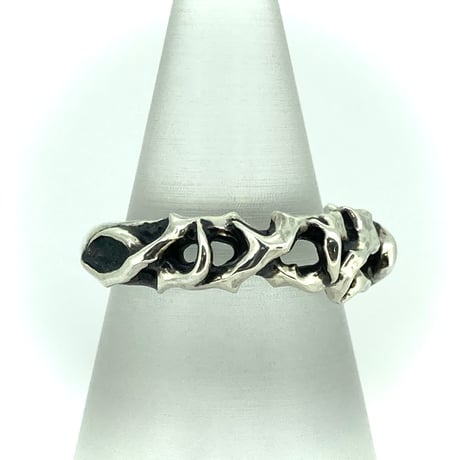 Large IBARA Ring