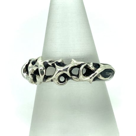 Large IBARA Ring