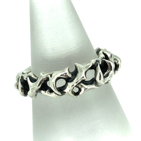 Large IBARA Ring