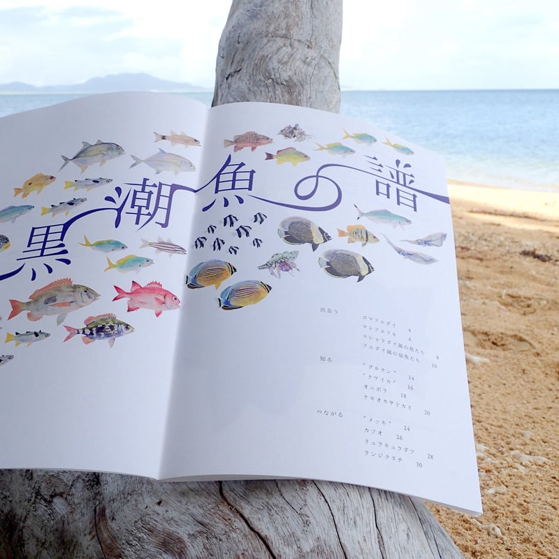 ブックレット『黒潮魚の譜』 | uonofu store