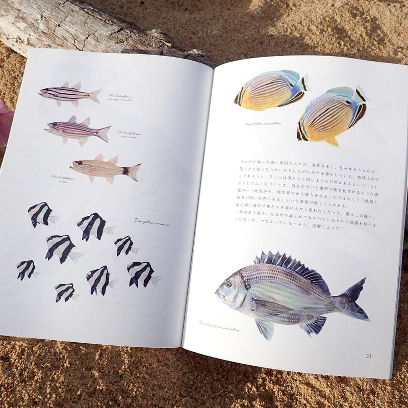 ブックレット『黒潮魚の譜』 | uonofu store