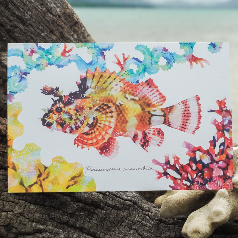 ポストカード5枚セット「bloom-1」 | uonofu store