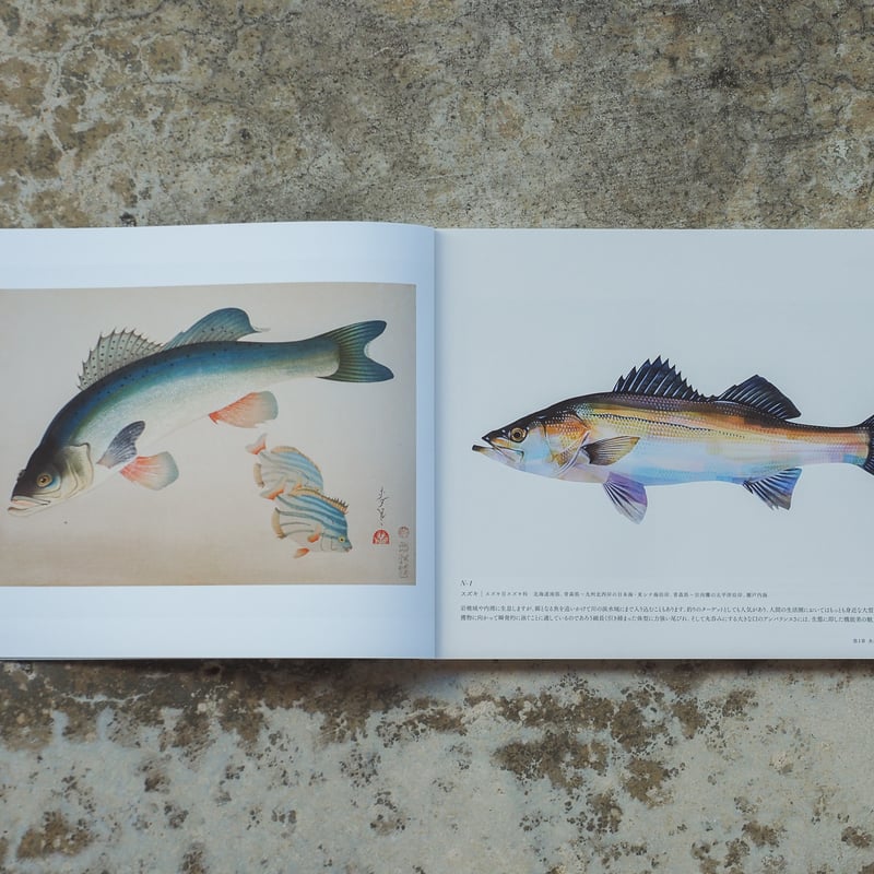 魚へのまなざしー長嶋祐成と大野麥風ー」展覧会図録 | uonofu store