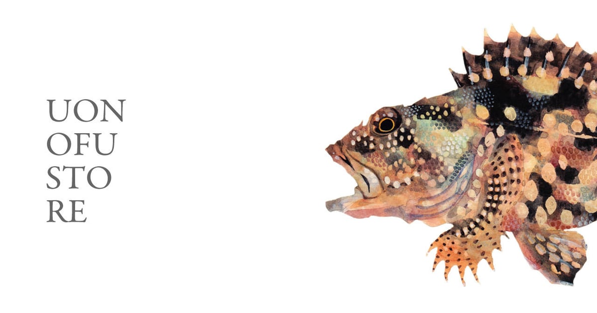 fit=pad,format=jpeg,w=1200,h=630