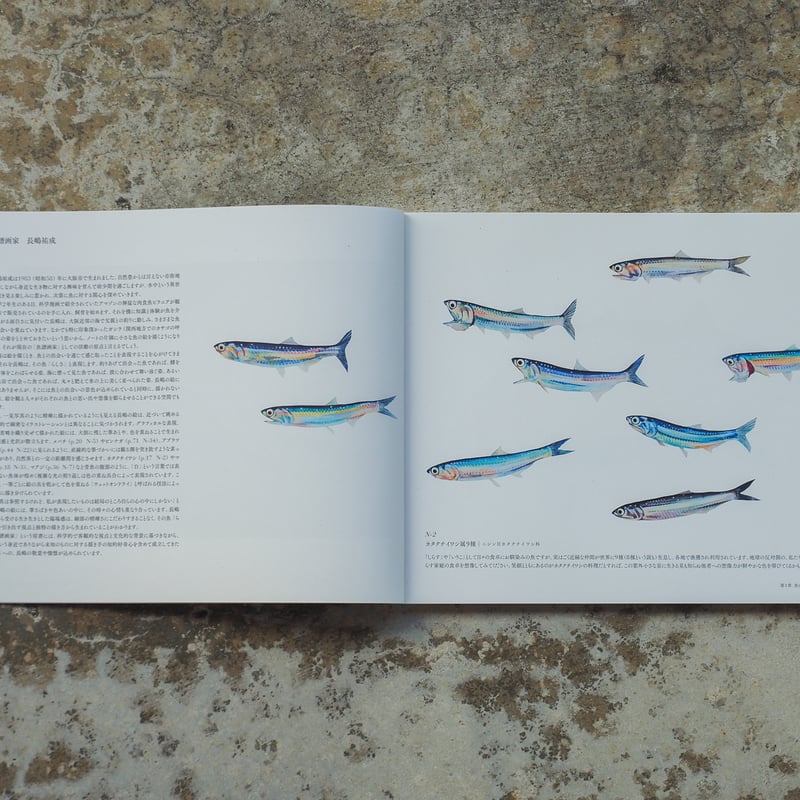 大野麥風展　図録 図録 大野麥風展 「大日本魚類画集」と博物画にみる魚たち