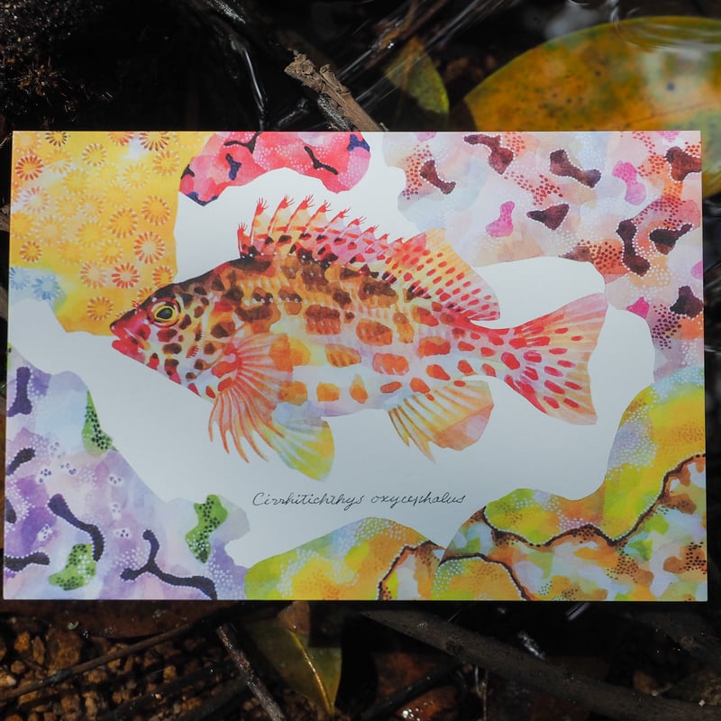 よっぴ ポストカード アルバム付き カリナ ② jp.ktown4u.com : K-POP Global On-Onffline Platform