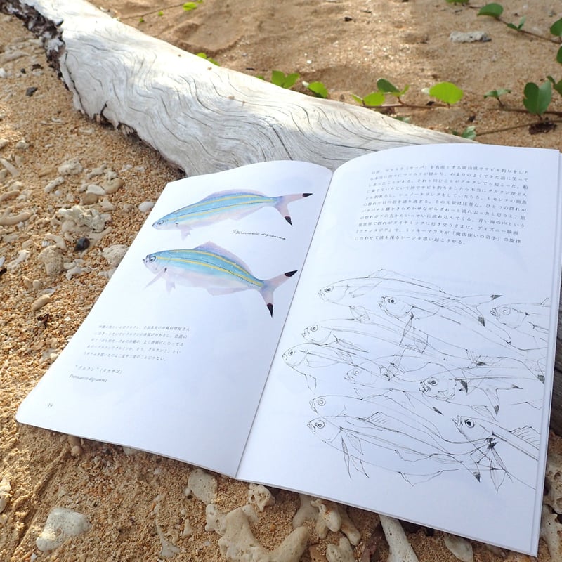 魚譜 ZINE】魚の譜ー長嶋祐成/Yusei Nagashima | 本屋しゃんのお店