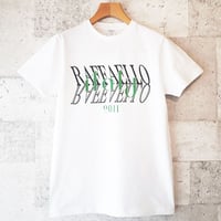 【RAFFAELLO】