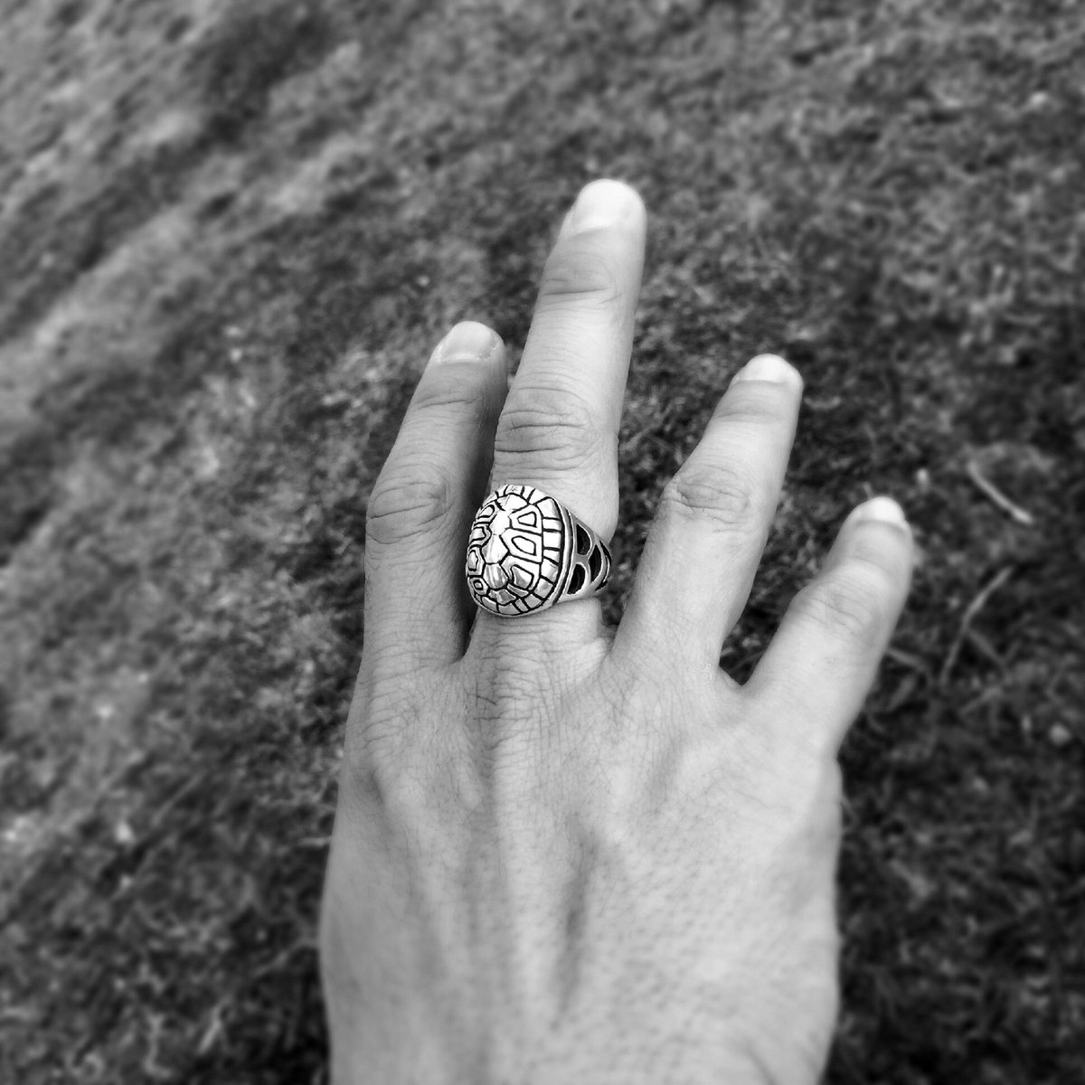 Box Turtle Ring Vol.1 (ボックス タートル リング) | 730 Store
