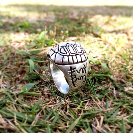 Box Turtle Ring Vol.1 (ボックス タートル リング)