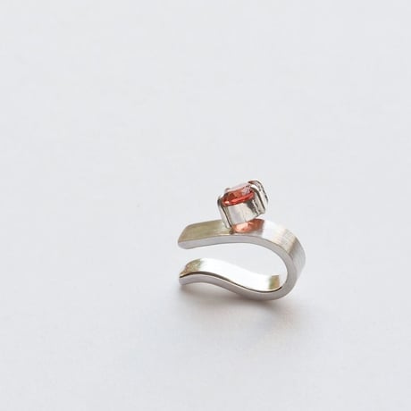 ear accessory　holiday