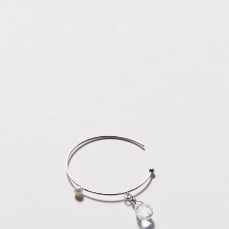 ear accessory　かなしみのない世界