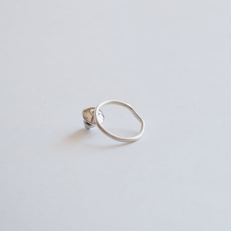 brooch　秘密