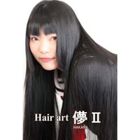 HA19　Hair art 儚Ⅱ　 DVD【パッケージ無し】