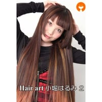 Hair art HARUMI 小堀はるみ 02　  DVD【パッケージ無し】