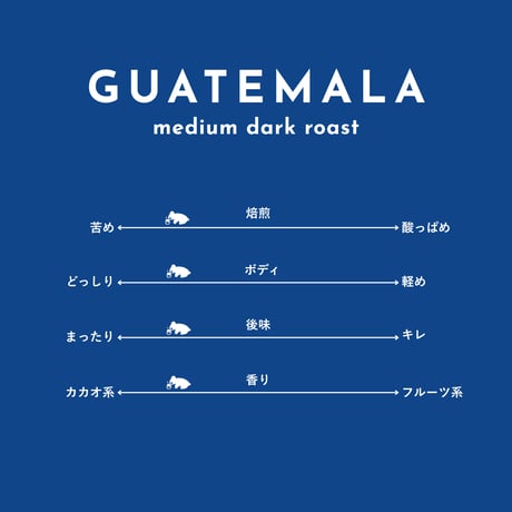 中深煎 | GUATEMALA | グァテマラ 100g~