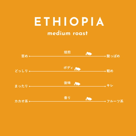 中煎｜ETHIOPIA エチオピア　100g~